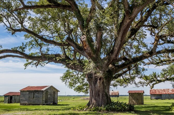 St. Joseph and Felicity Plantation Combo Tour - Who should book this combo tour?