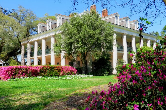 Swamp Boat Ride and Oak Alley Plantation Tour from New Orleans - From Toulouse Street to the Bayou: How the Day Actually Moves