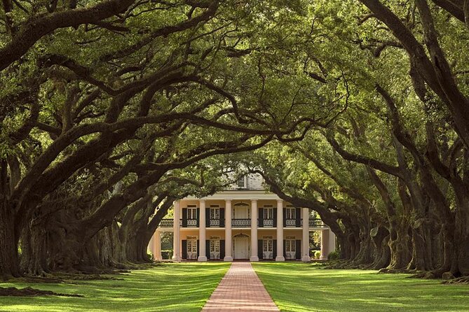 Swamp Boat Ride and Oak Alley Plantation Tour from New Orleans - Guides Make or Break It: Bus Narration and Bayou Storytelling