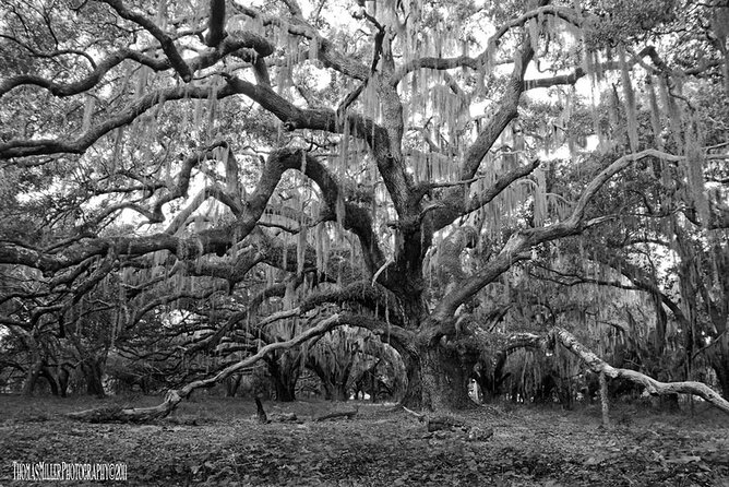 The Blackest Ghost Tour: Ages 17 and Above - Stop 2: Boutique du Vampyre and the vampire angle that feels grounded