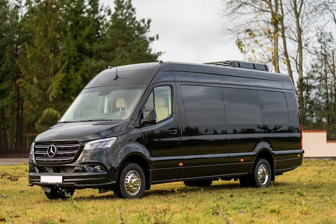 Transfer from New Orleans MSY or Port to New Orleans by Minibus - Key Things That Make This Transfer Work