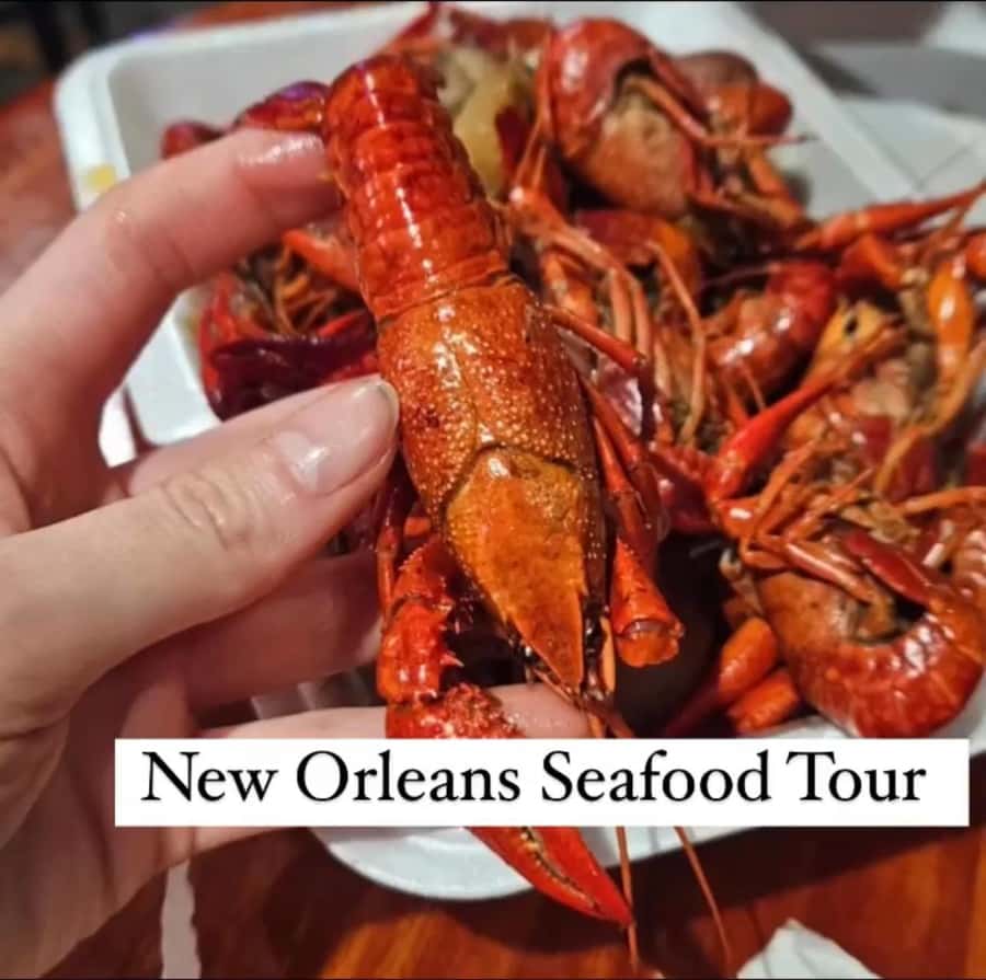Treme Bar Crawl & Seafood Experience - The Guide Factor: Mr. Hollis and Pride in the Neighborhood