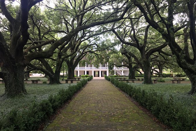 Two Plantation Tour: Oak Alley and Laura or Whitney - Whitney Plantation vs Laura: Two Lenses on Plantation Life