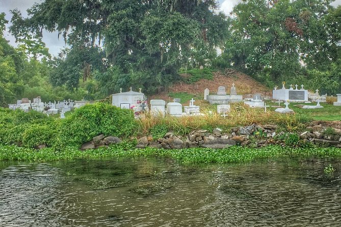 Ultimate Swamp Tour Experience with Transportation from New Orleans - The coach ride out: a break from the city, not just travel