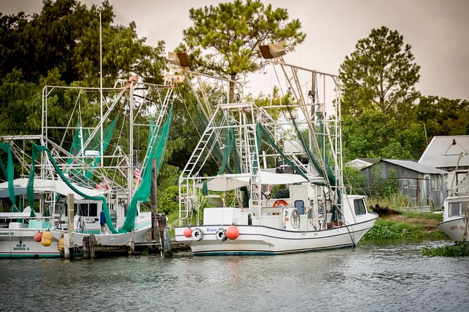 Ultimate Swamp Tour Experience with Transportation from New Orleans - Boarding the swamp boat: Barataria Preserve in motion
