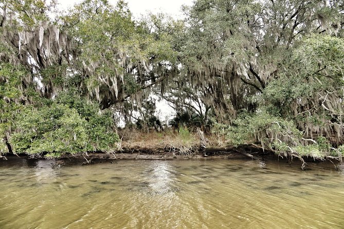 Ultimate Swamp Tour Experience with Transportation from New Orleans - Cajun stories on the water: Jean Lafitte, seafood, and what your captain makes human