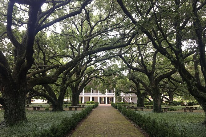 Whitney Plantation and Airboat Tour from New Orleans - Price and value: what $152 per person really buys