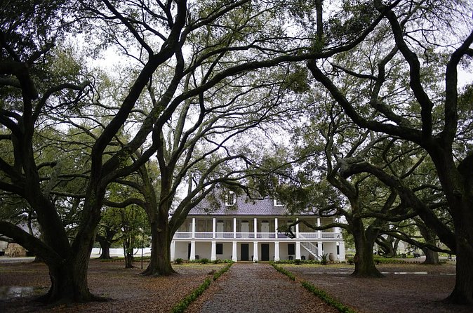 Whitney Plantation Tour with Transportation - Walking the property: what your body should plan for