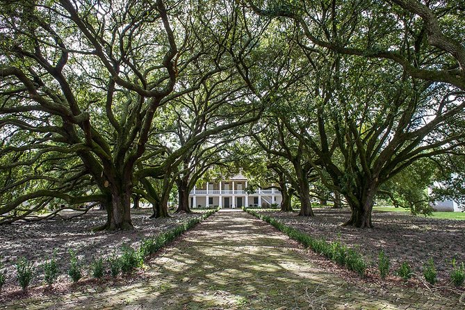 Whitney Plantation Tour with Transportation from New Orleans - Optional Upgrade: The 90-Minute Pontoon Swamp Tour